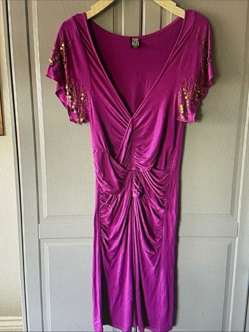 Free People Fuchsia Sequin Sleeve Mini Dress
